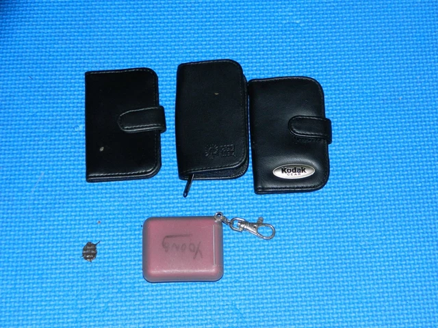 Lote de 4 ESTUCHE LÓGICO BILLETERA/PORTADORES TARJETA DE MEMORIA FLASH COMPACTA Kodak