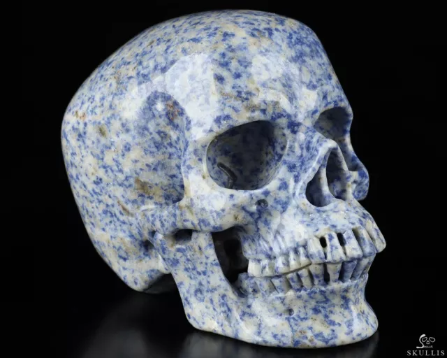 Huge 5.2" Blue Speckled Sodalite Carved Crystal Skull, Super Realistic