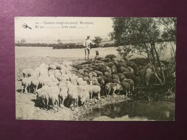 CPA 58 (nièvre) Quatre vingt dix neuf moutons et un ........ font cent
