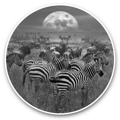 2 x Vinyl Stickers 7.5cm (bw) - Wild Zebra Herd Africa Safari Animals  #43799