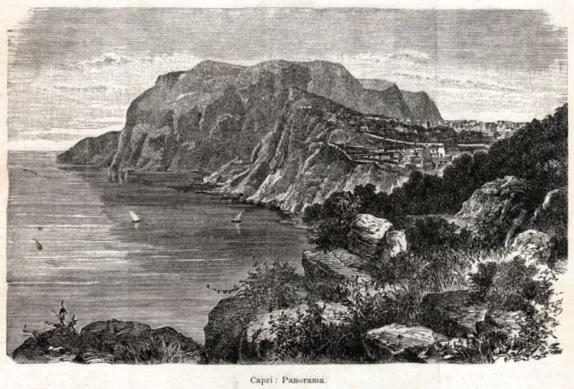 Capri: panorama. Golfo di Napoli. Stampa antica di 120 anni + passepartout. 1901