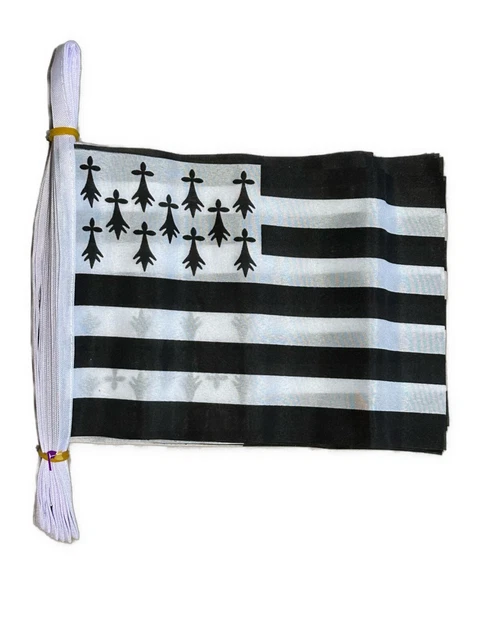 Guirlande De Drapeaux Suisse 2025 (Eurovision) - 10 Mètres, Tissu, Multicolore Pour Fête