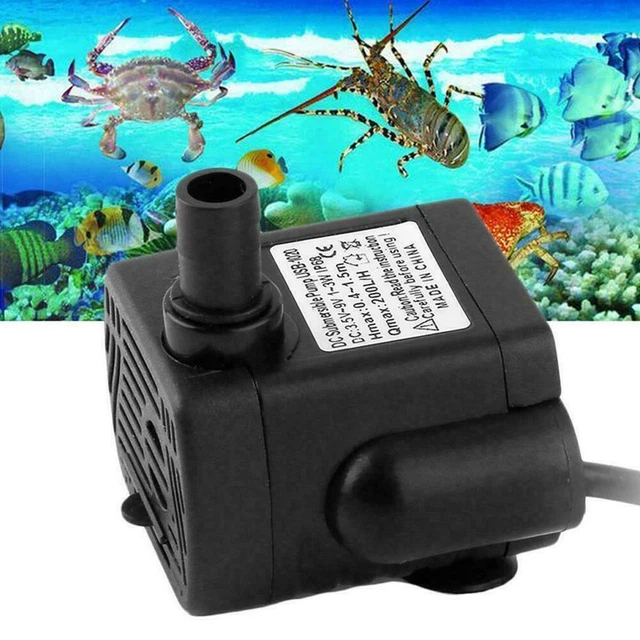 Pompe à Eau Submersible 12V 800L/h - Noyau Céramique Silencieux - Pour Aquarium, Fontaine, Hydroponie