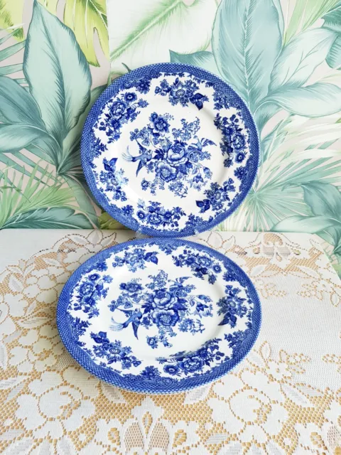 Royal Stafford Blue Asiatic Pheasant  10-3/4" Dinner Plate X 3