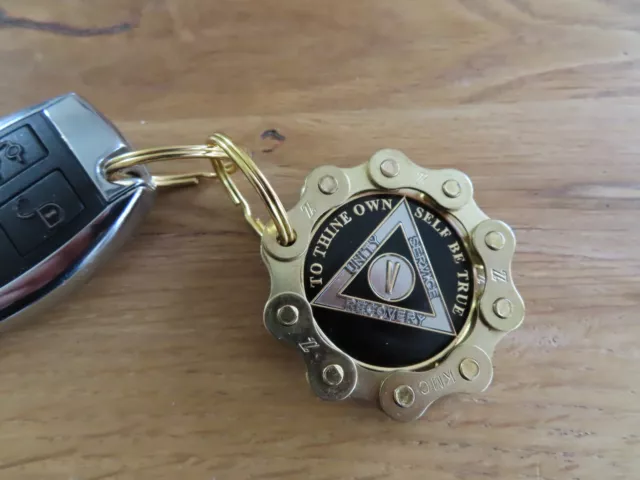 Alcoholics Anonymous Key Chain Chip Holder Keyring Gold Gift Al-Anon AA Recovery