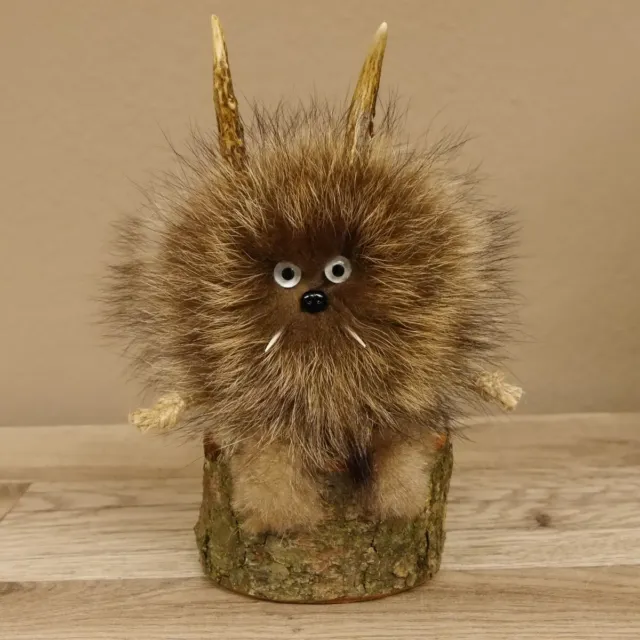 Wolpertinger Wolpi Mini Preparado Taxidermy Brillante Ojos Altura 22CM