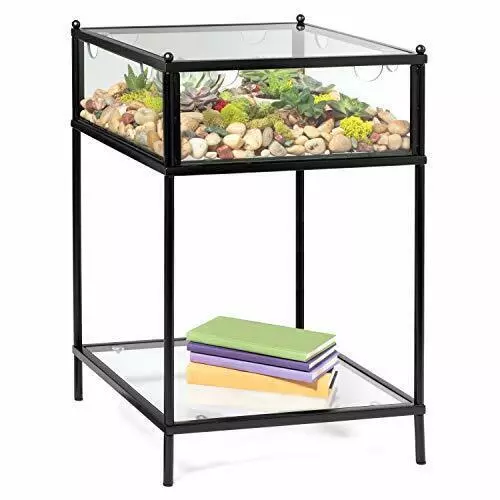 Deco Square Terrarium Display End Table with Reinforced Glass in Black Iron- 18"