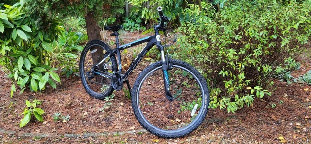 Sterndale clearance mountain bike