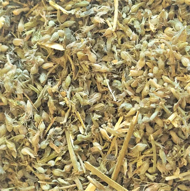 Hoja de hierba gatera - Nepeta cataria - té de boticario de hierbas secas orgánicas 0,5-4 oz