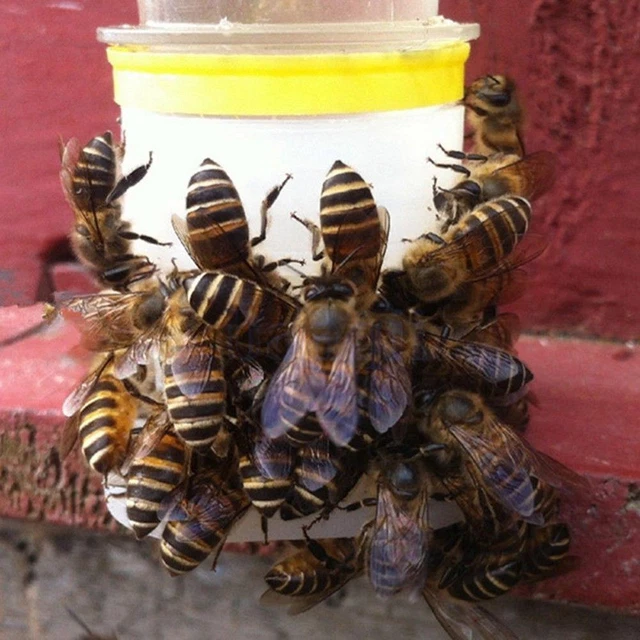 Bee Drinking Fountain Bee Queen Bee Water feeder Equipment Keeping Feedin U3U0