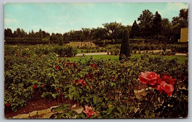 Tulsa Municipal Rose Garden Oklahoma OK Postcard UNP VTG Unused Vintage Chrome