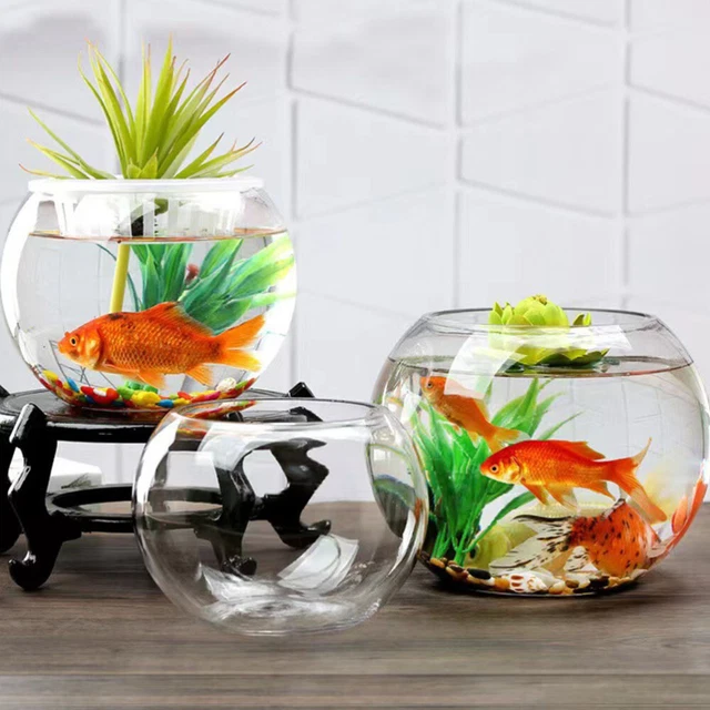Portable Fish Bowl Tank Glass Terrarium Globe Aquarium Office Succulent Plants