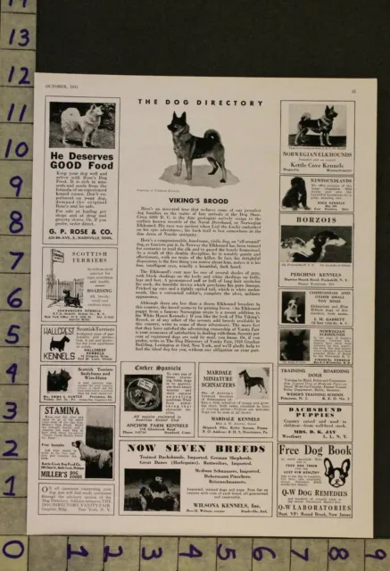 1931  Dog Canine Norwegian Elkhound Sport Race Breeder Photo Ad Ru37