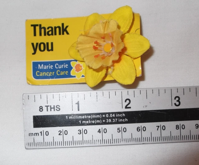 MARIE CURIE CHARITY PIN INSIGNE jonquille Cancer VINTAGE à