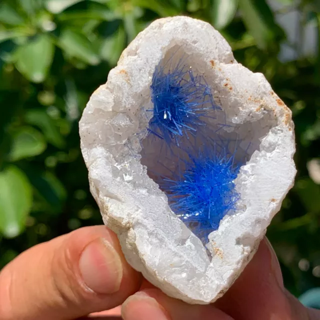 77G Rare Moroccan blue magnesite and quartz crystal coexisting specimen
