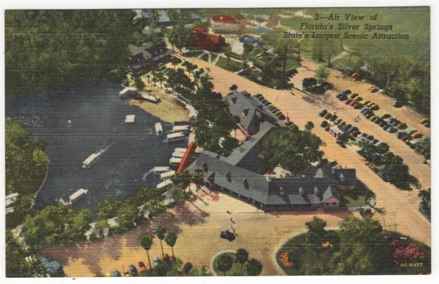 Silver Springs Fl  Aerial View Largest Florida Attraction Vintage Postcard Linen