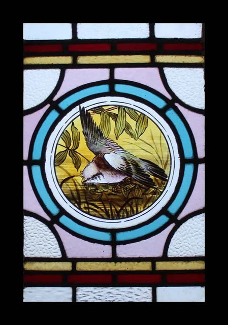 The Most Beautiful Rare Painted Bird Antique English Stained Glass Window
