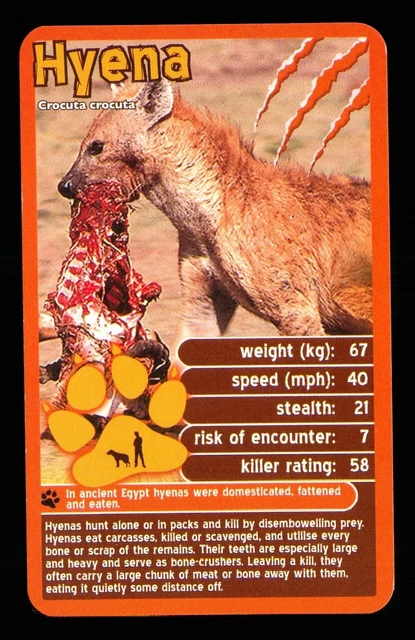 1 x info card deadliest predator Hyena - R114