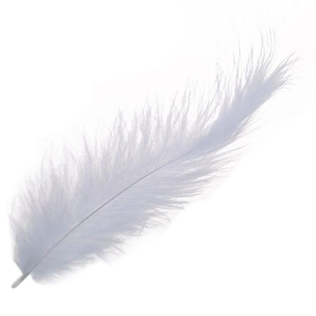 200x Pluma de pollo de fuego Cola puntiaguda Plumas de terciopelo 10-15cm Blanco D1H2