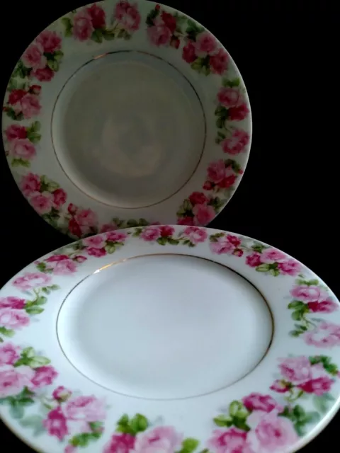Set of 2 Herman Ohme Silesia Germany 6-1/4" Bread and Butter Plates Pink Roses