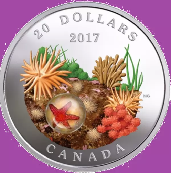 2017 Canada Under the Sea - Sea Star $20 Proof Silver Dollar Coin Mint UNC (JC)