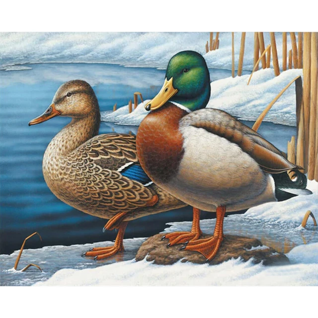 Lakeside Duck Oil Paint By Numbers Kit DIY Frameless Drawing Picture for Adults