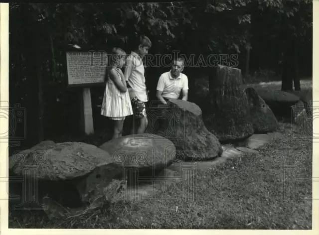 1977 Press Photo Visitors with Schoharie Reservoir Petrified Trees in New York