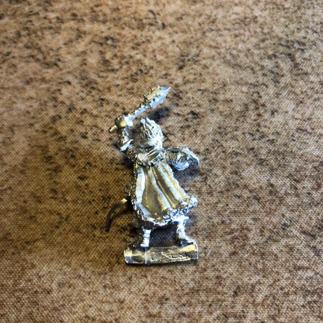 Citadel Fantasy Warhammer Knight Of The Cleansing Flames Regiment Renown Officer 2