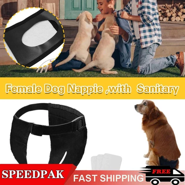 Pantalones para perros de temporada hembra Knickers perros pañales reutilizables XS-2XL mascotas sanitarios A6G1