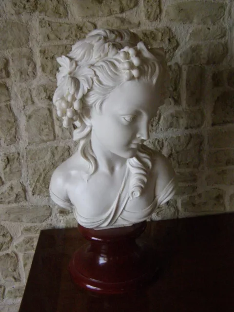 Grand Massif Et Esthetique Buste De Jeune Femme + De 10 Kilos
