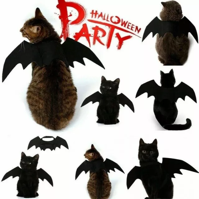 Cane Gatto Cosplay Abbigliamento Costume Nero Bat Ali Halloween Festa Pet Regali