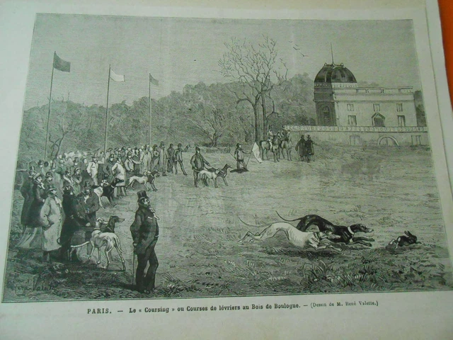 Gravure 1879 - Paris Le Coursing ou Courses de Lévriers Bois de Boulogne