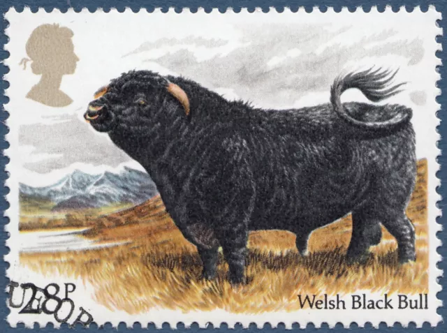 Welsh Black Bull  illustrated on 1984 fine used GB stamp