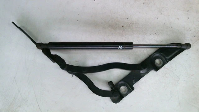 Heckscheiben-Scharnier Set Für Ford Escape 2008-2012 - Links & Rechts