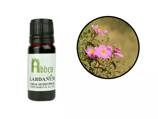 Essential Oil Labdanum 100% Pure Natural Aromatherapy Oil