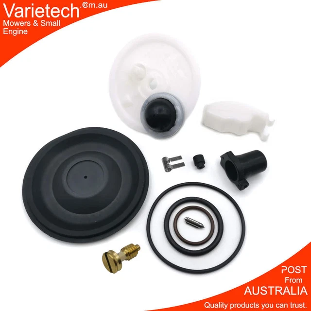 11 PARTS REBUILD Kit Suit 2Stroke VICTA G4 LM Carby with Short Plug