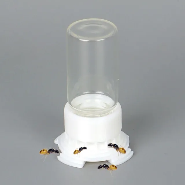 Pet Accessories Ant Feeding Tower Honey Water Dispenser Insect Water Feeder