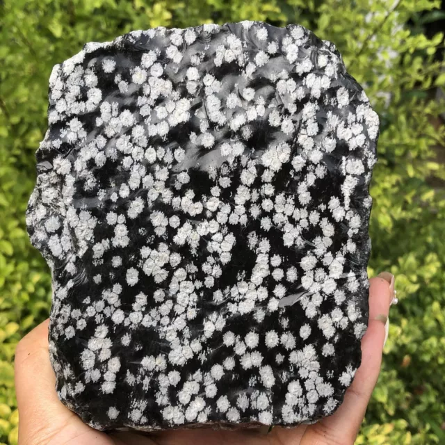 1720g Natural Snowflake Obsidian Rough Stone Mineral Crystal Specimen Healing