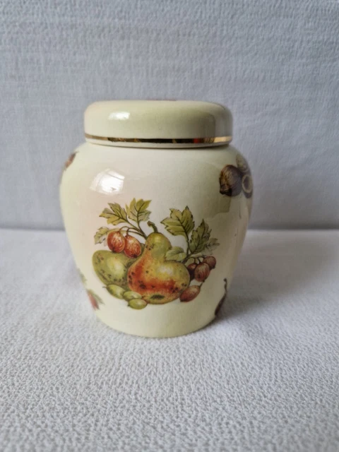 Royal Worcester Palissy England Collection Obst kleines Ingwerglas Topf mit Deckel