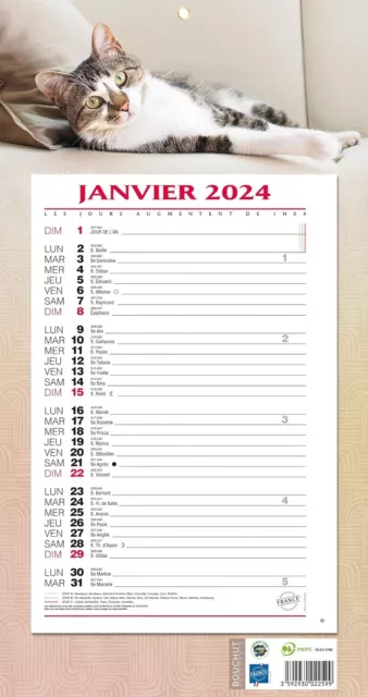 BOUCHUT CALENDRIER BLOC Mensuel 2024 à Feuillets Format 19x36cm (Chat) NEUF  EUR 11,99 - PicClick FR