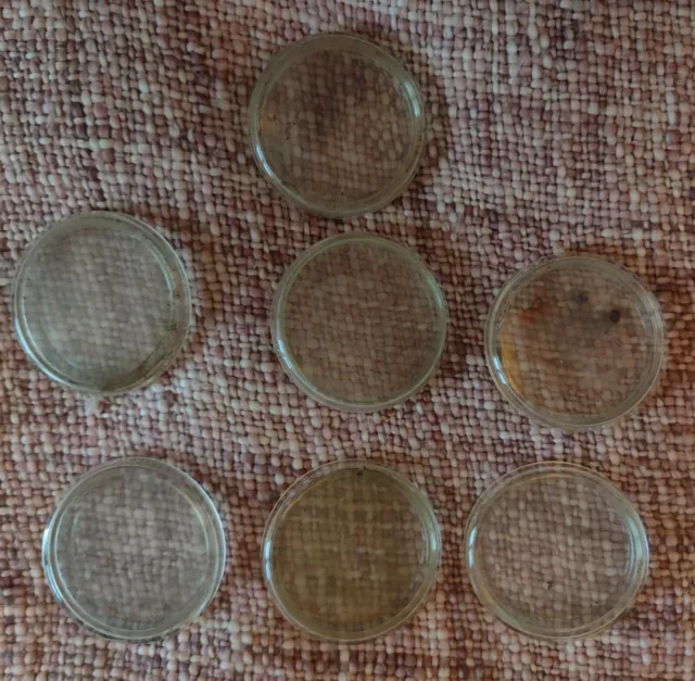7 Vintage Glass Petri Dishes BS 611, With Lids One Chipped.