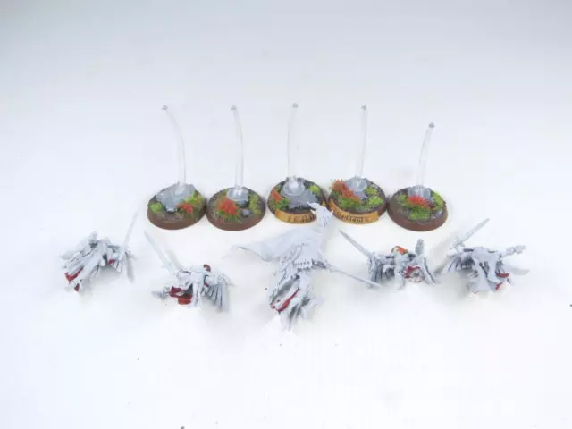 (FG13) Seraphim Squad Sisters Of Battle Adepta Sororitas 40k Warhammer