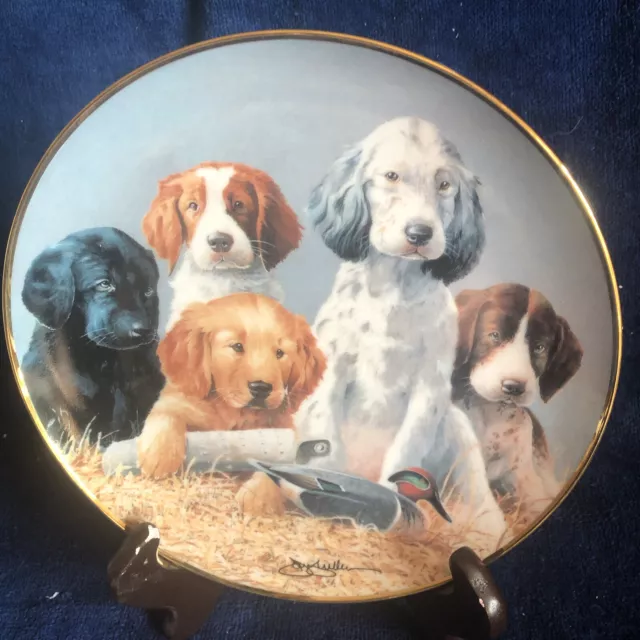 Franklin Mint “School Daze” Plate 5 Lab,Golden Retriever & Spaniel Sporting Pups