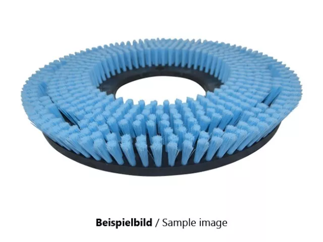 Shampooing Brush Suitable For Nilfisk-Advance 515 (Year Before 2010) - Poly 0,3