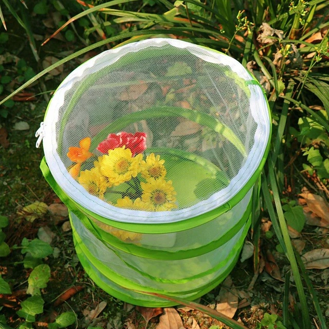 - Insect and Butterfly Habitat Cage Terrarium Clear Mesh Enclosure, See ThrougJ8