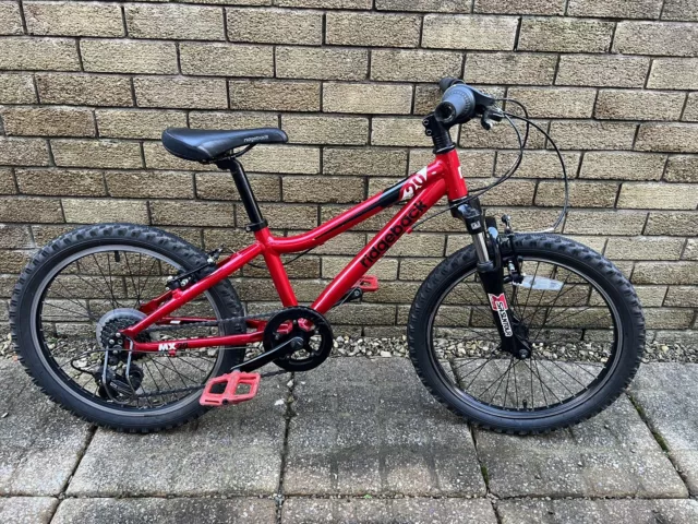 Ridgeback 20 hotsell