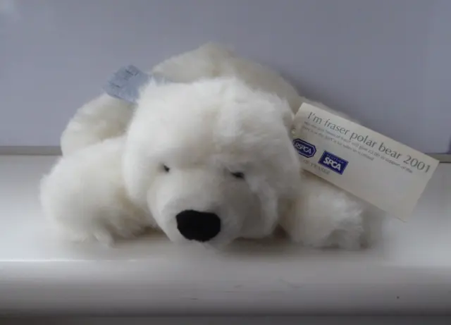 House of Fraser ' I'm Fraser Polar Bear 2001 ' Soft Plush Toy RARE Collectable