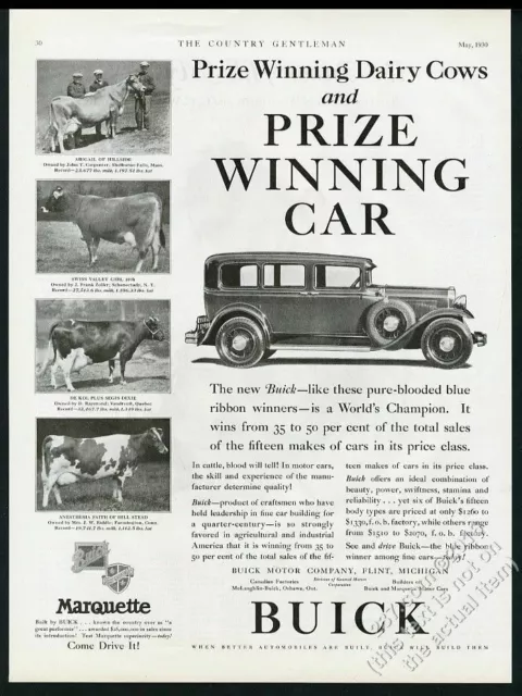 1930 Brown Swiss cow photo Buick sedan car vintage print ad