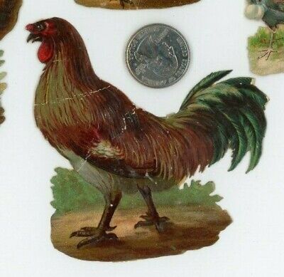 1870's-80's Chickens Roosters Farming Lot Of 4 Victorian Die Cut X94