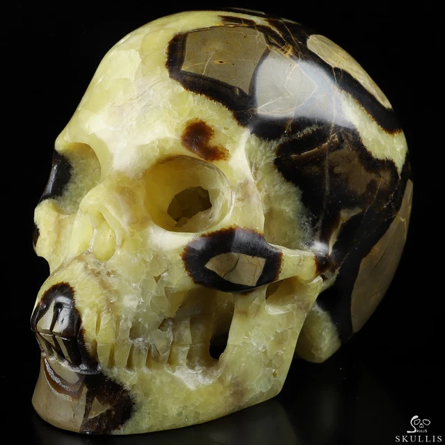 4.9" Dragon Septarian Stone Hand Carved Crystal Skull, Realistic, Healing